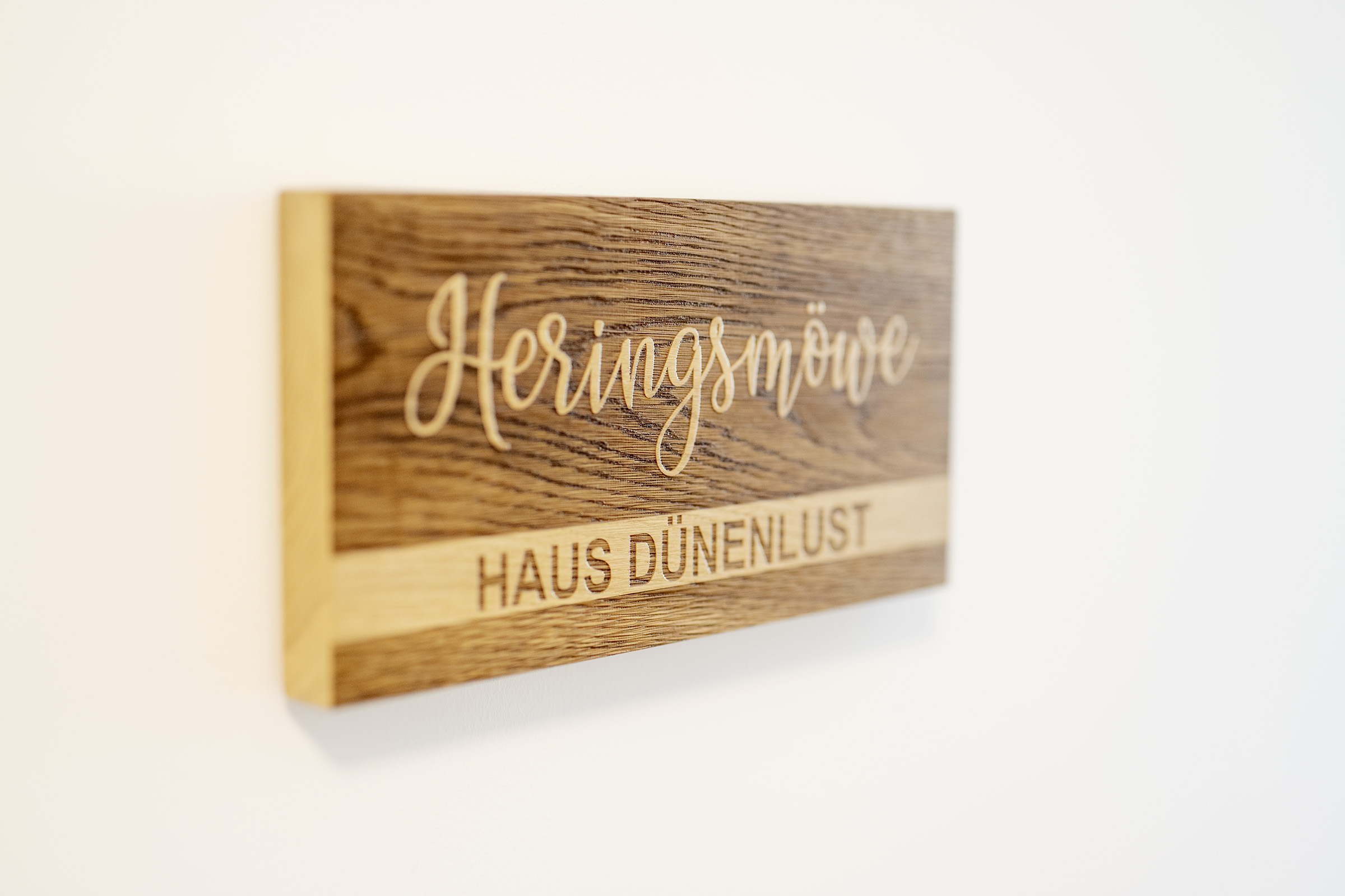 dünenlust heringsmöwe dff5679